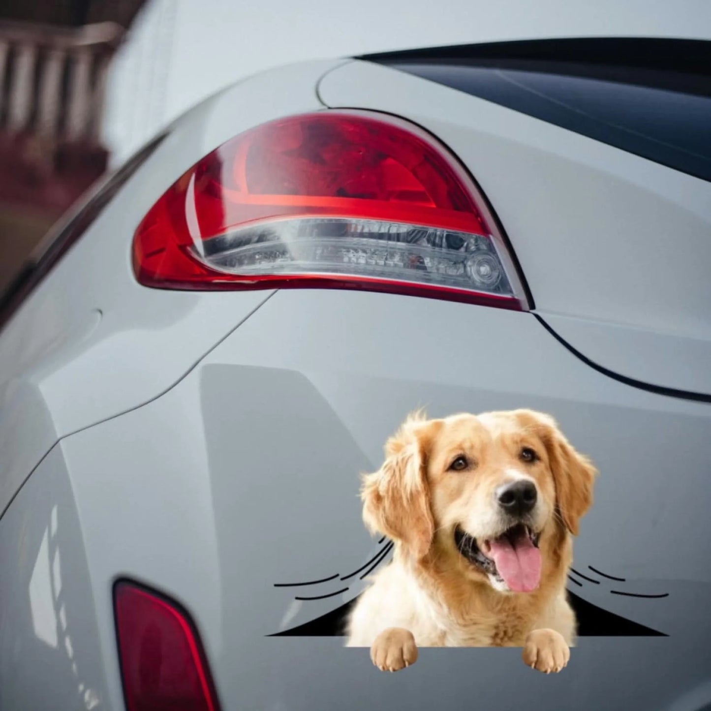 WhatsApp Image 2025-09-16 at 9.57.20 PM (1)