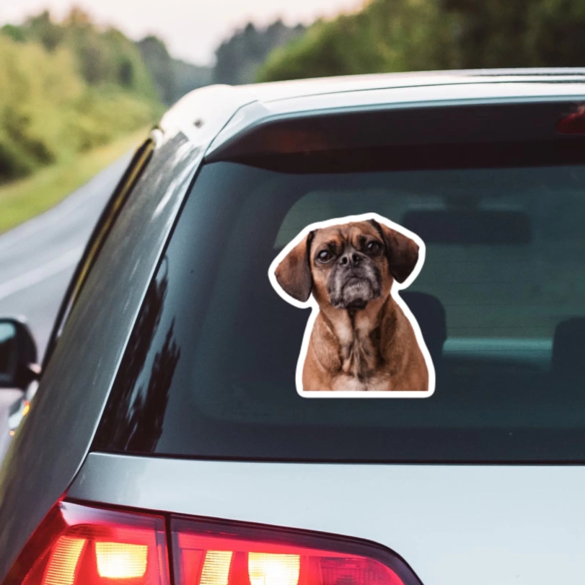 WhatsApp Image 2025-09-17 at 2.41.45 PM