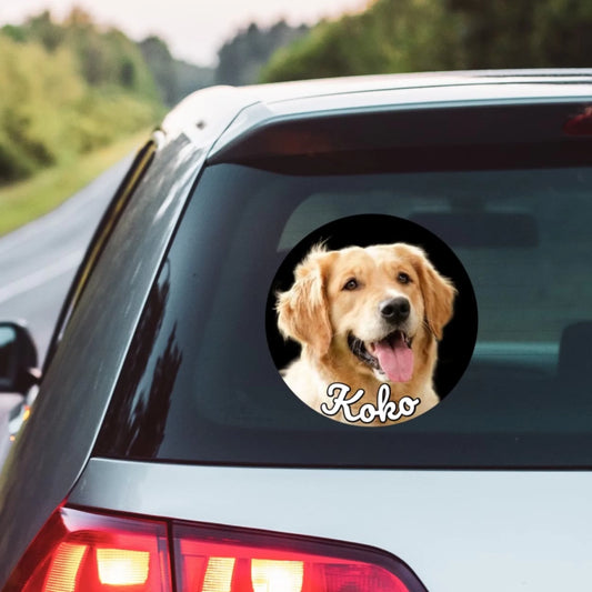 WhatsApp Image 2025-09-16 at 9.40.37 PM