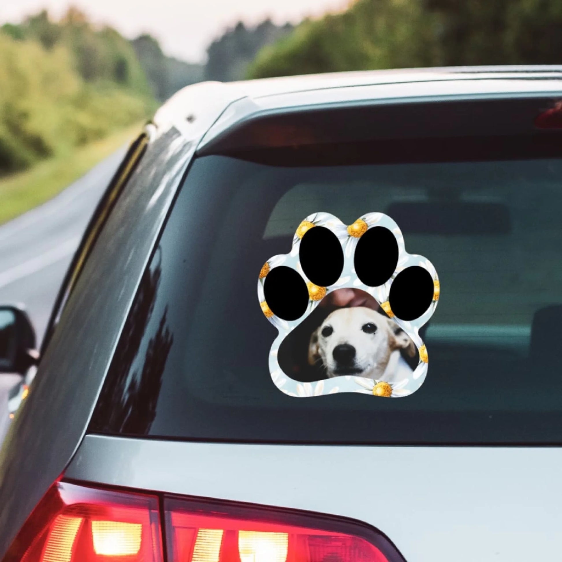 WhatsApp Image 2025-09-16 at 9.44.50 PM