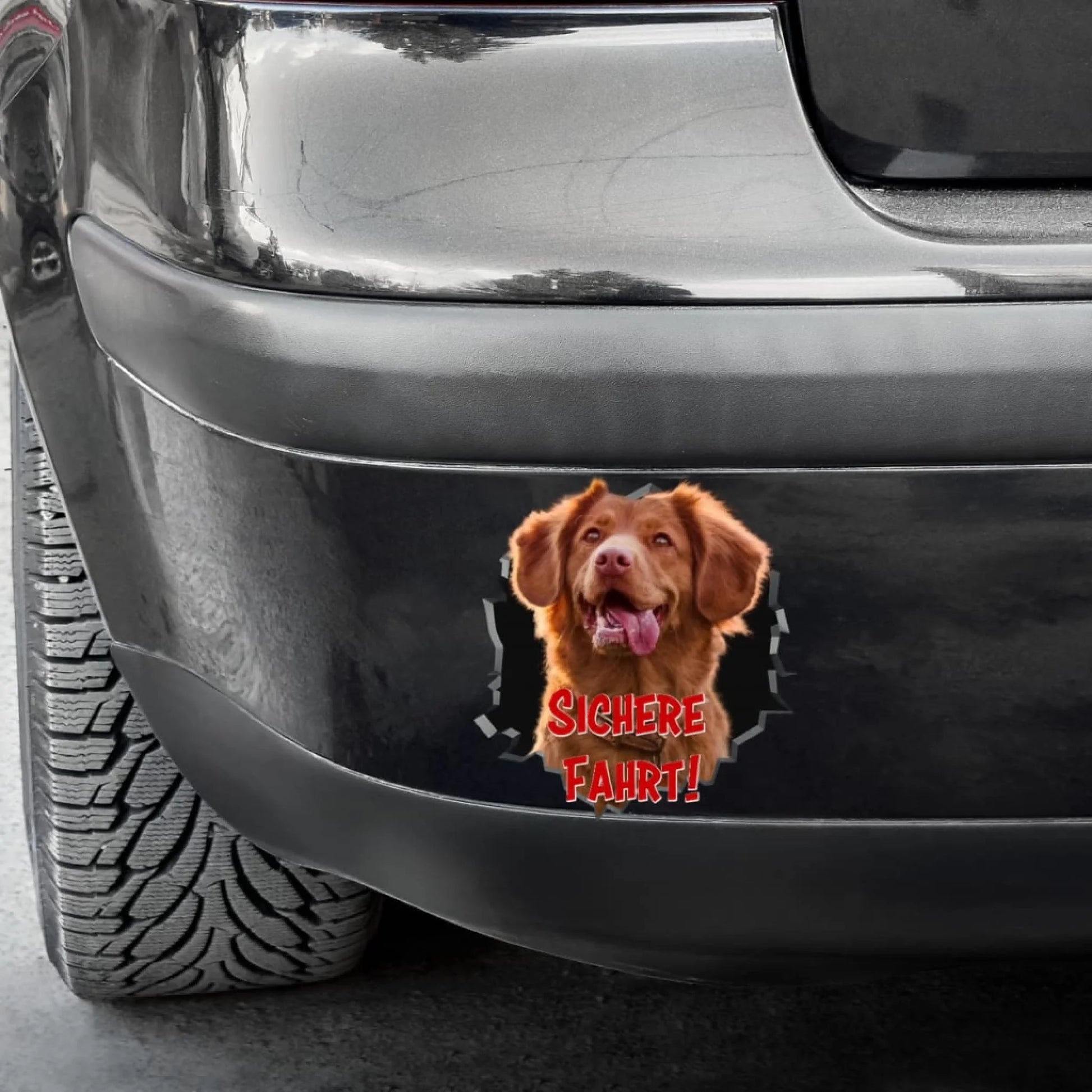 WhatsApp Image 2025-09-16 at 9.47.53 PM (1)