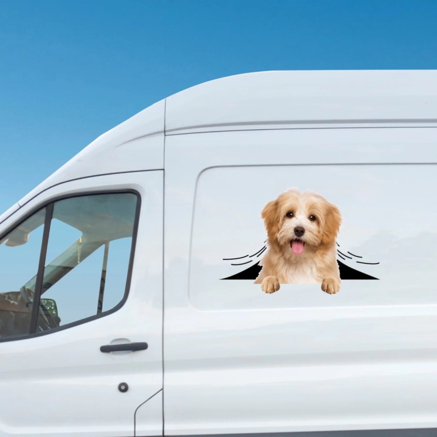 WhatsApp Image 2025-09-16 at 9.57.20 PM