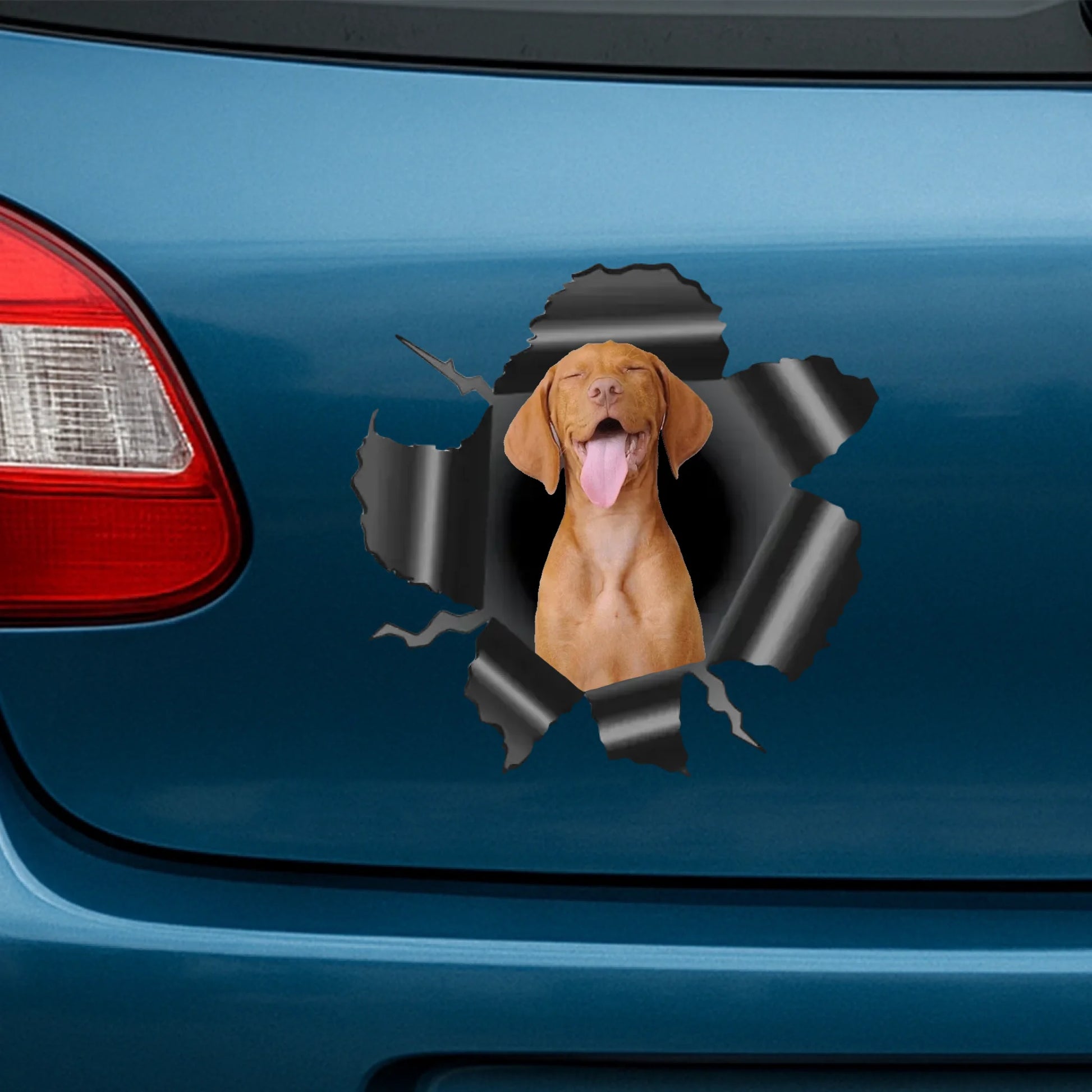 WhatsApp Image 2025-09-16 at 9.07.10 PM